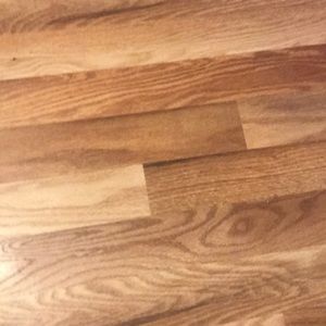 Meet your Posher, Damaris